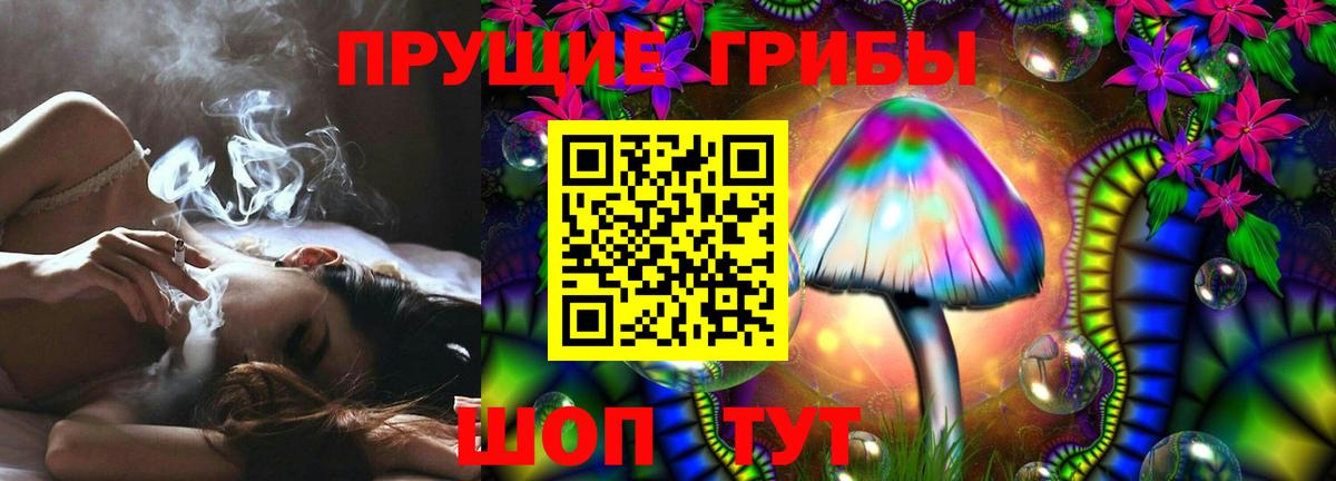 Псилоцибиновые грибы Psilocybine cubensis Нефтекамск