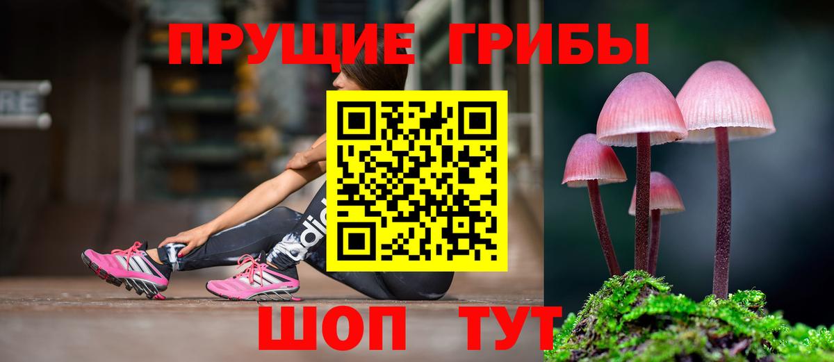 Галлюциногенные грибы GOLDEN TEACHER  Галлюциногенные грибы прущие грибы  Нефтекамск  где продают   Вход с VPN 